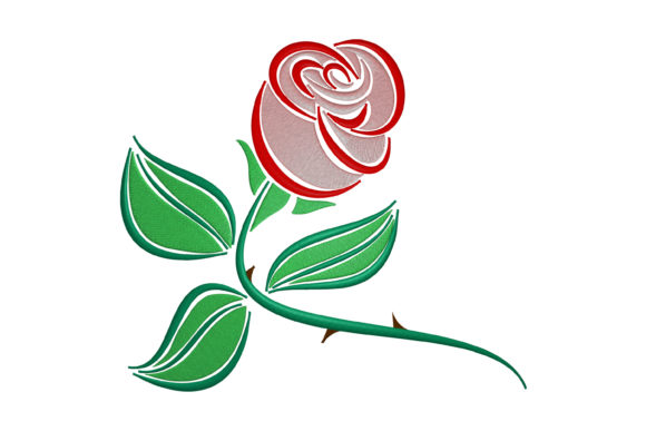 Beautiful Double Rose