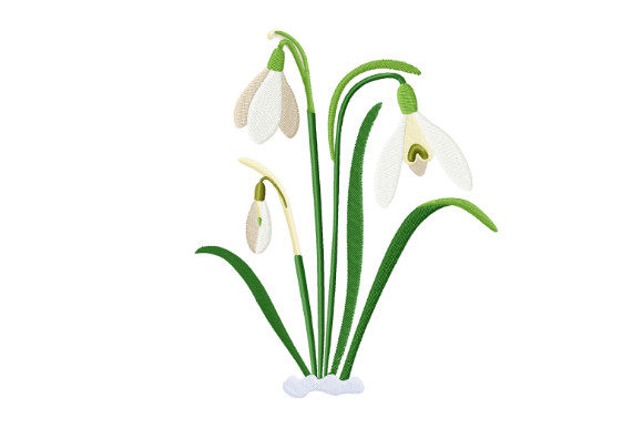 Spring Snowdrops Review